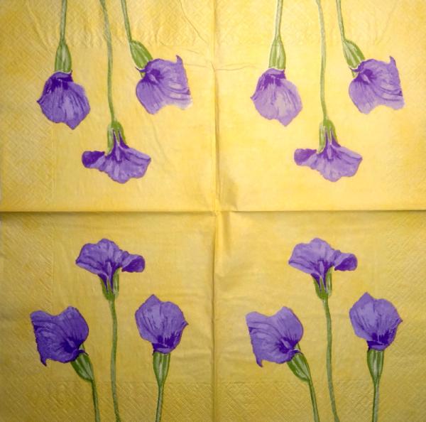 035 Calla - 3-ply